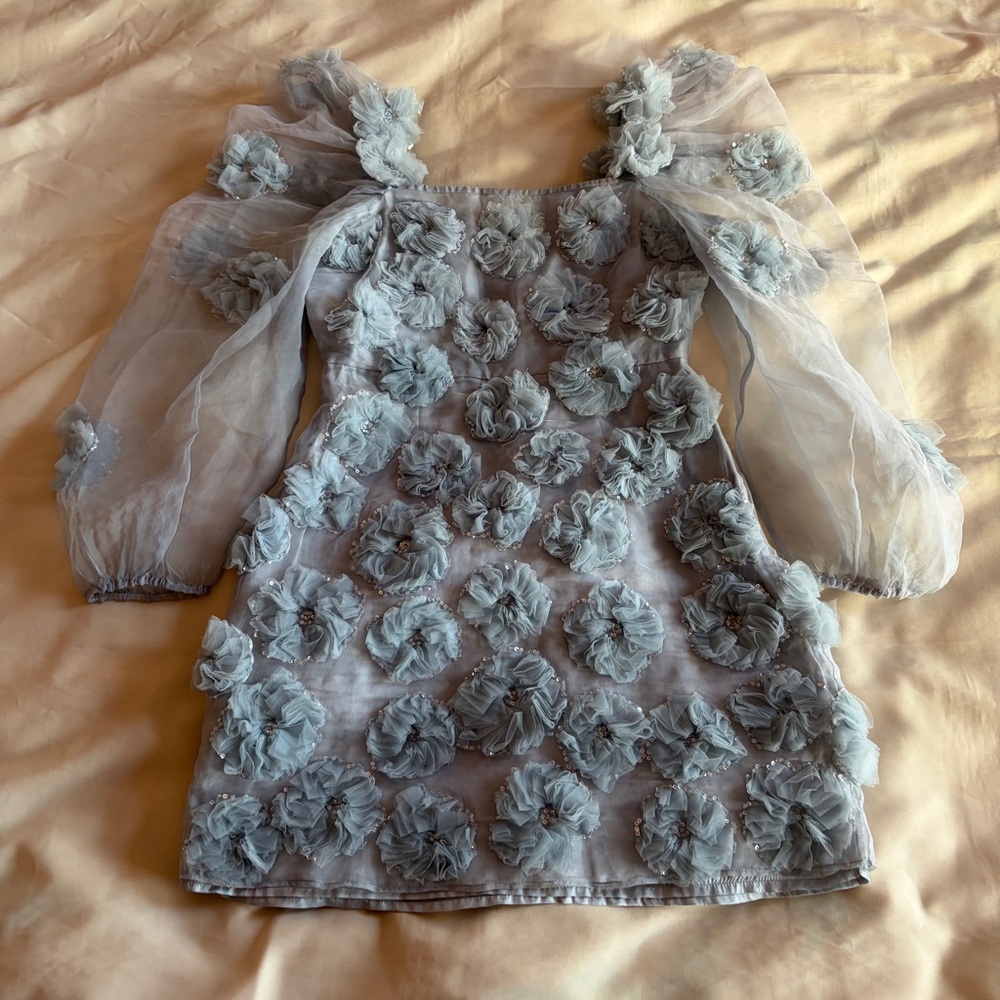 LOVESHACKFANCY- Wells Appliquéd Organza Mini Dress In Blue Size 0 Sheer Sleeve - Picture 2 of 9
